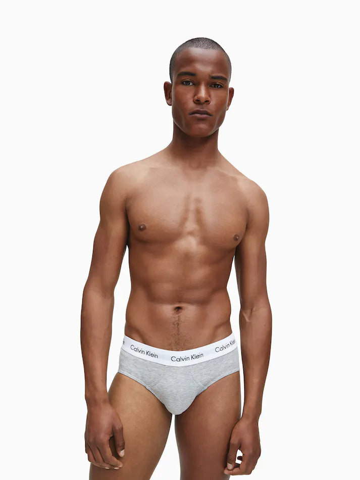 Calvin Klein Cotton Stretch 3 Pack Hip Briefs - Multi